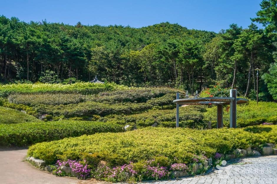 포항_운제산산림욕장 (4)