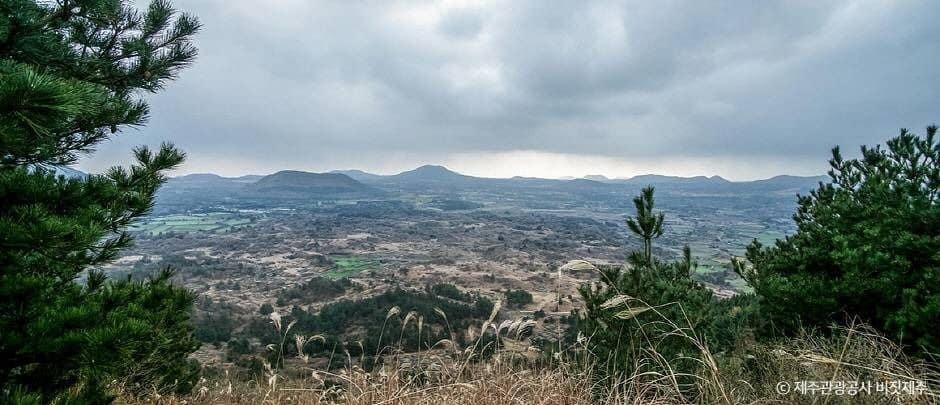 제주_둔지봉 (5)