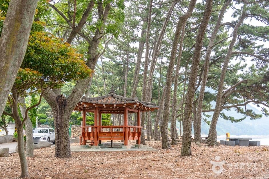 고흥_금장해수욕장 (6)