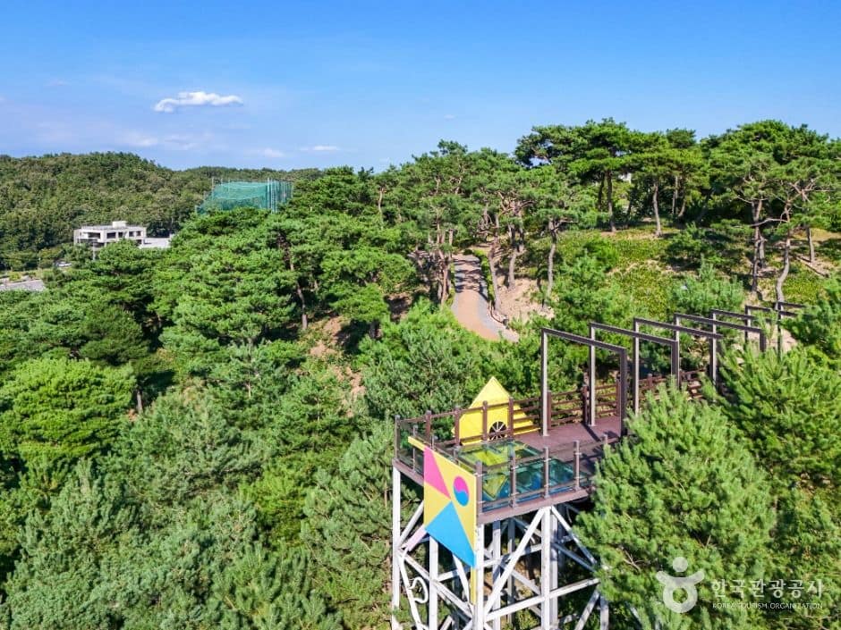 영천_영천한의마을 (3)