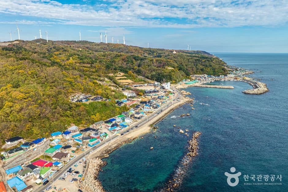 영덕_영덕 해안도로 드라이브 (4)