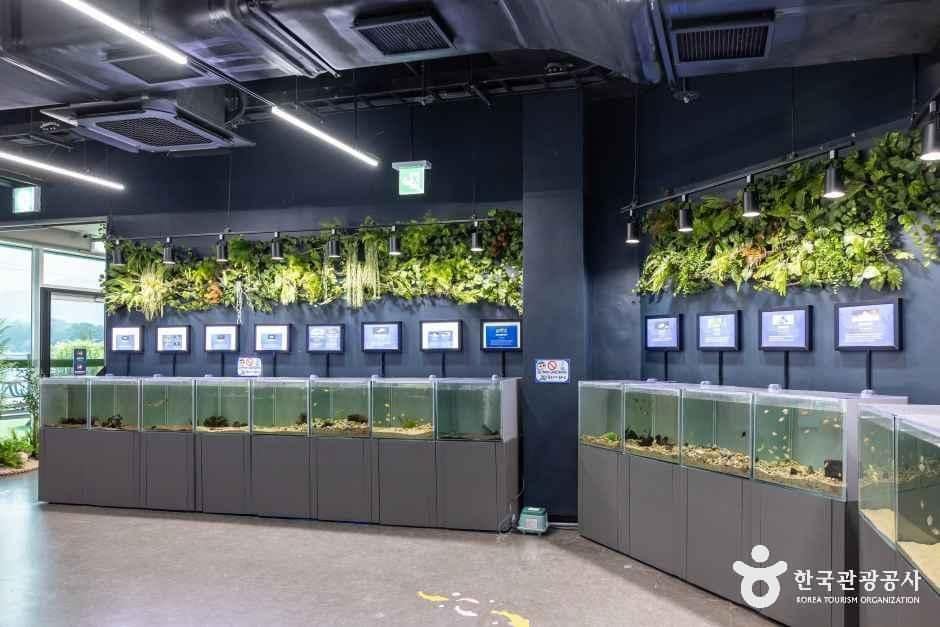 괴산_충북아쿠아리움 (6).jpg