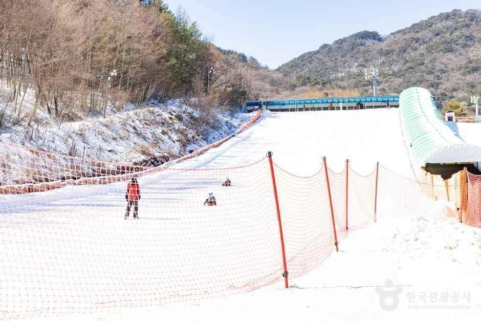 무주_무주덕유산리조트 썰매장 (5).jpg
