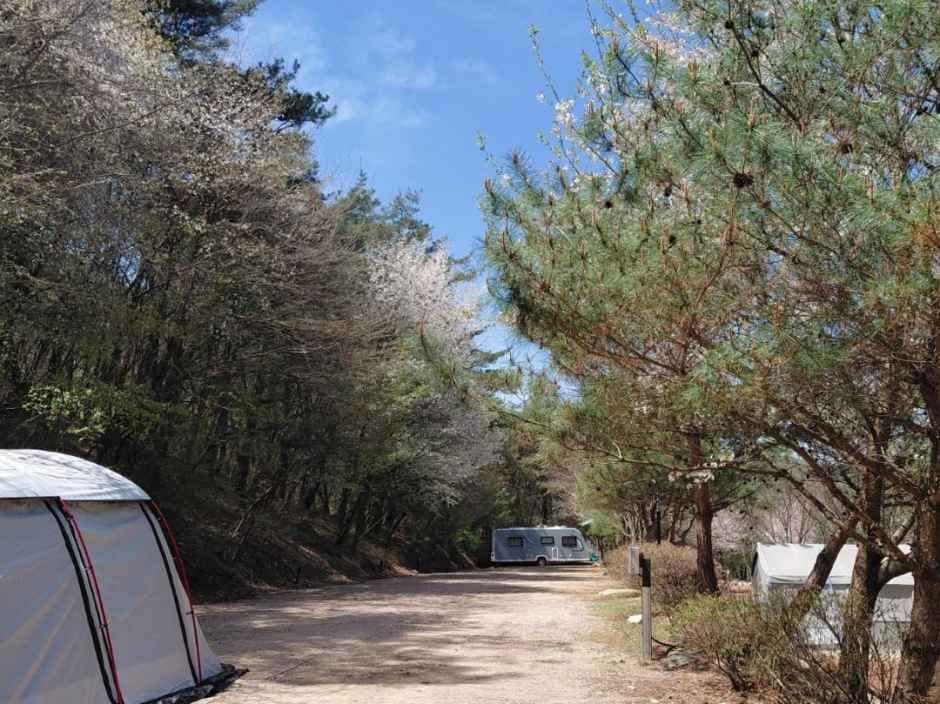 괴산_화양원탑오토캠핑장 (5).jpg