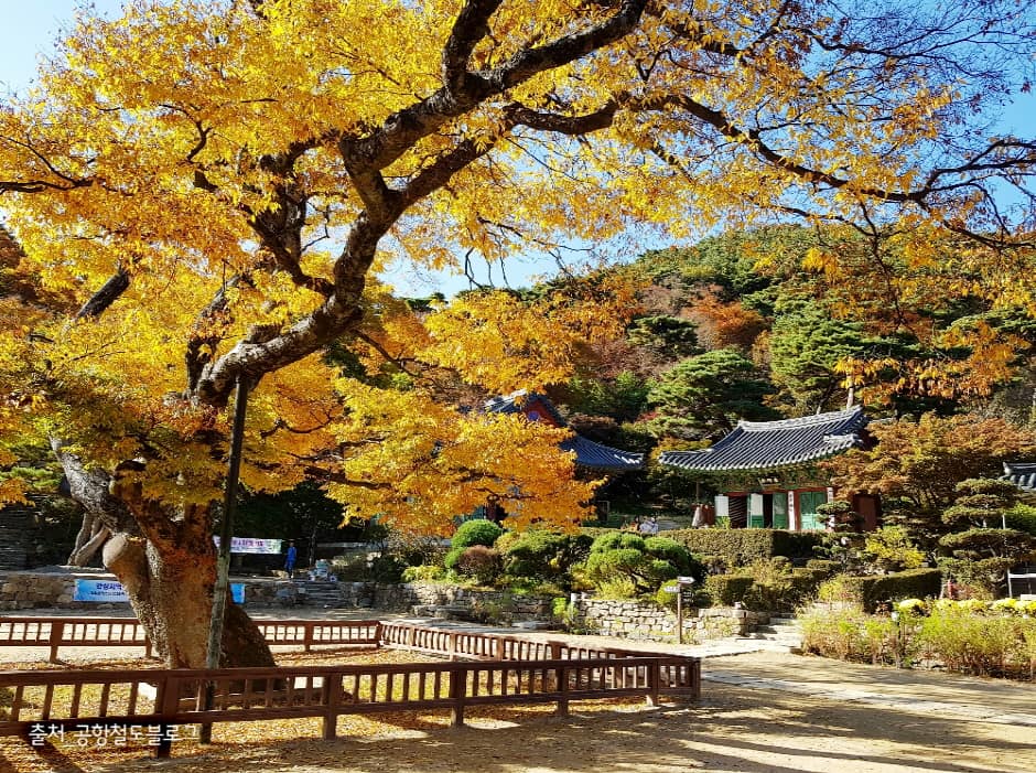 강화 전등사
