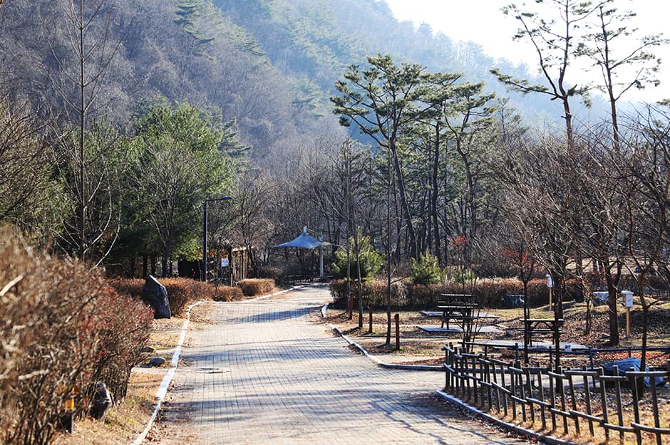 병지방오토캠프장_산책로