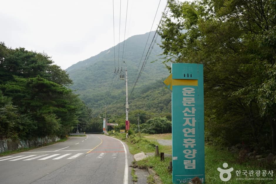 경북_청도_국립 운문산자연휴양림 (2)