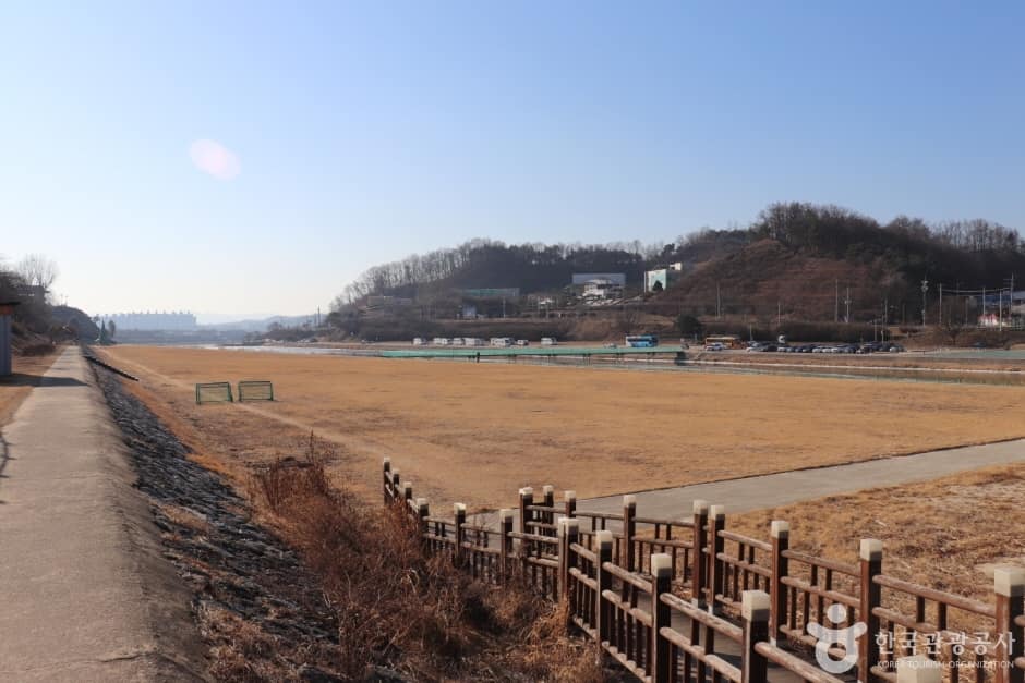 서천둔치(영주) (2)