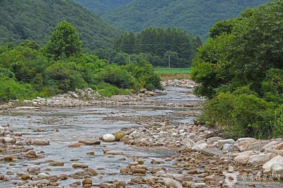 용하구곡 (2)