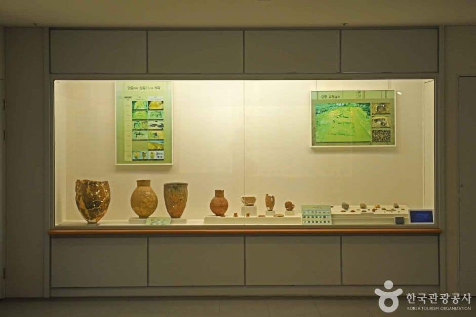 강릉원주대학교 박물관 (5)