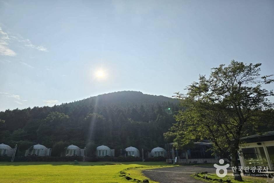바늘오름_e (1)