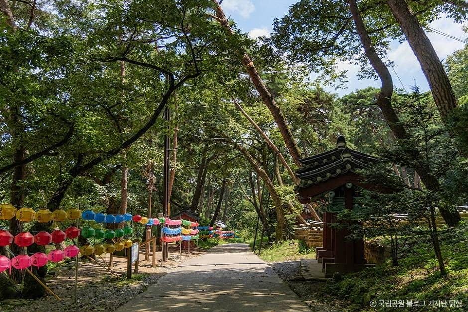 팔공산국립공원(은해사지구) (9)