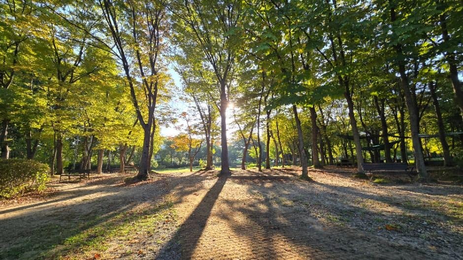 [서울둘레길 10코스] 우면산코스 (1)