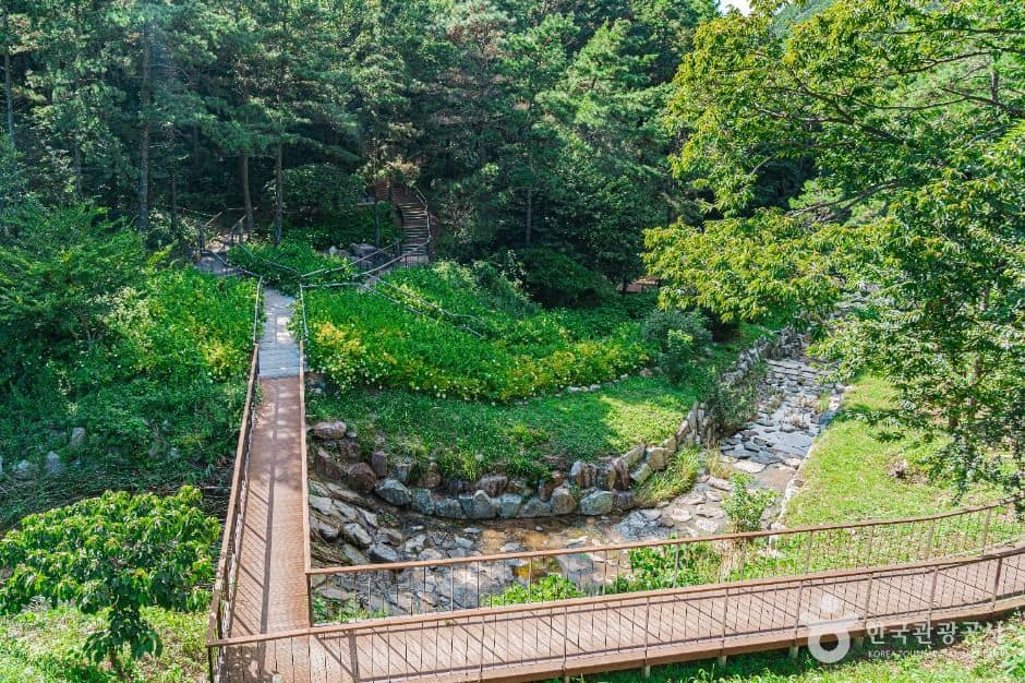 무안_무안 물맞이 치유의 숲 (2)