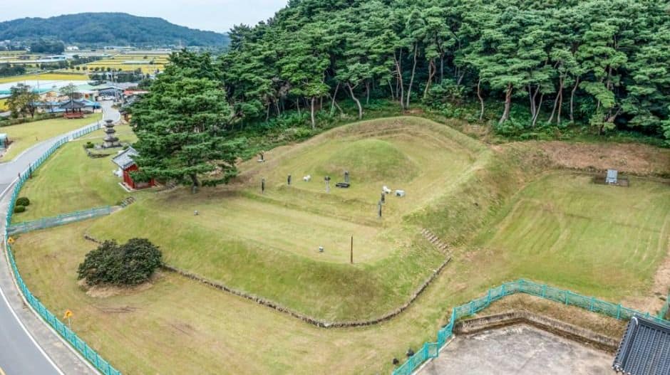 상주_전사벌왕릉 (1)