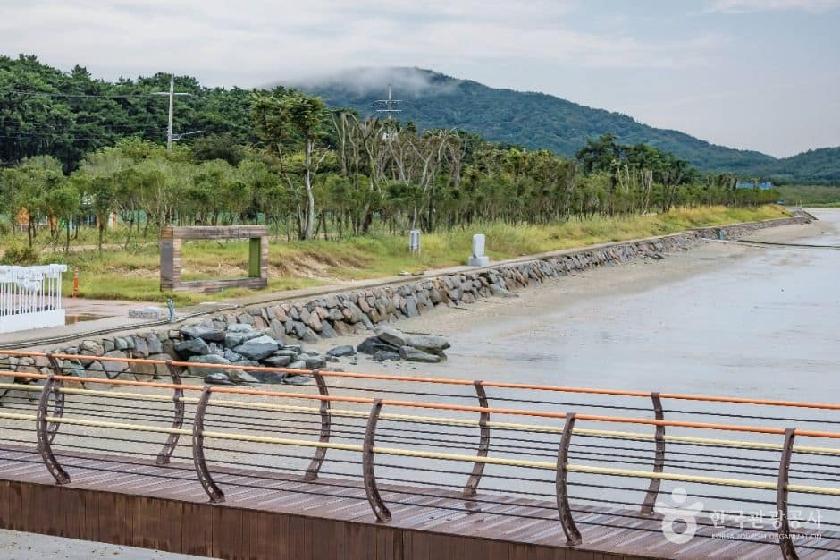 신안_둔장해변 (9)