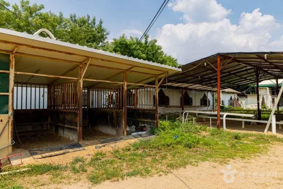 인천_인천승마공원 (4).jpg