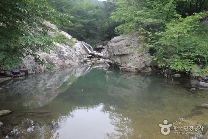 선유동계곡
