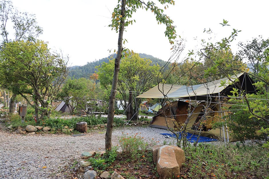 버드하우스캠핑장_전경3
