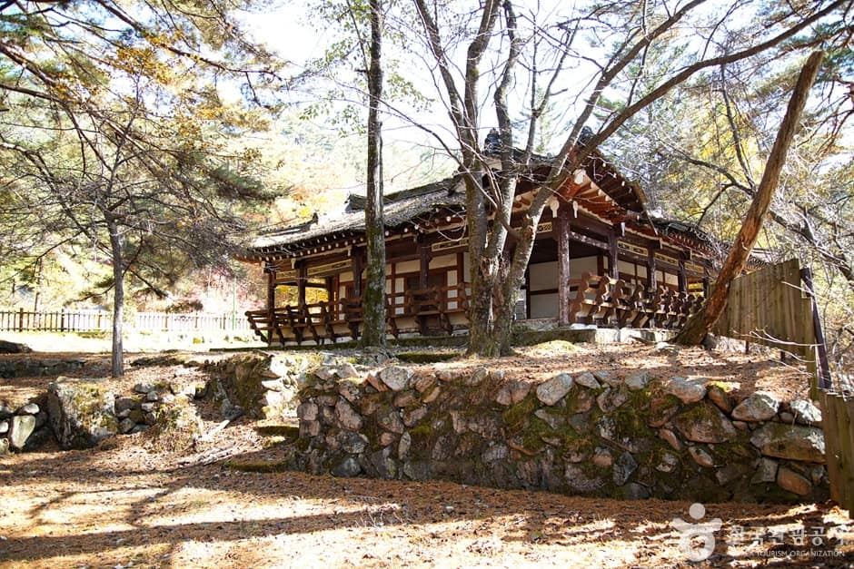 장수대 (9)