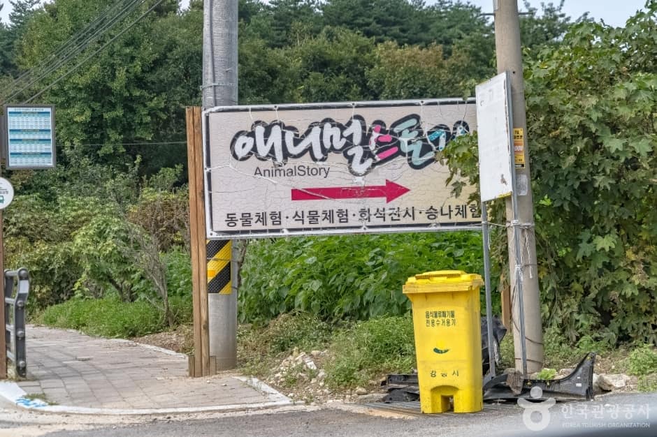 애니멀스토리1