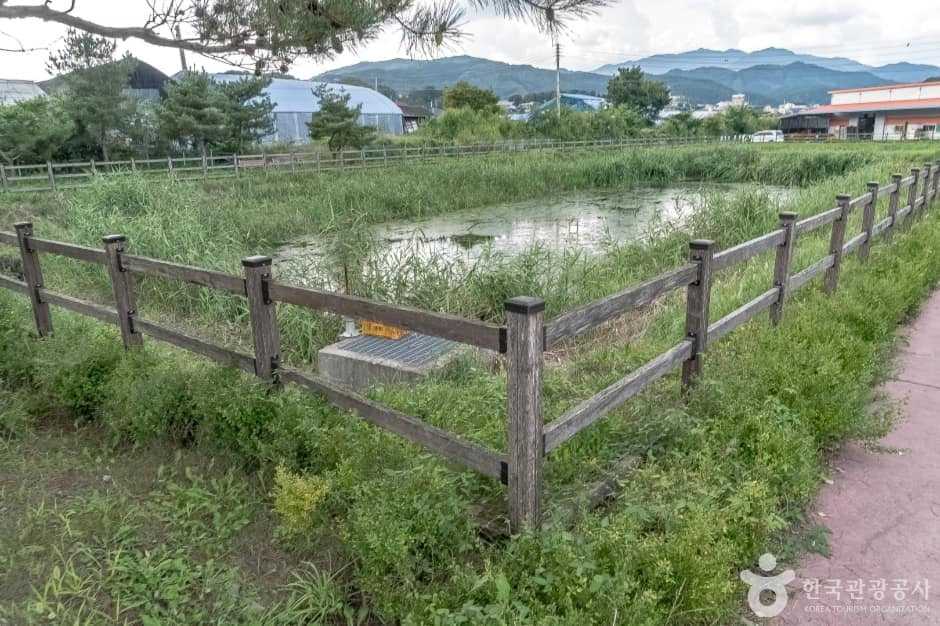 사내체육공원4