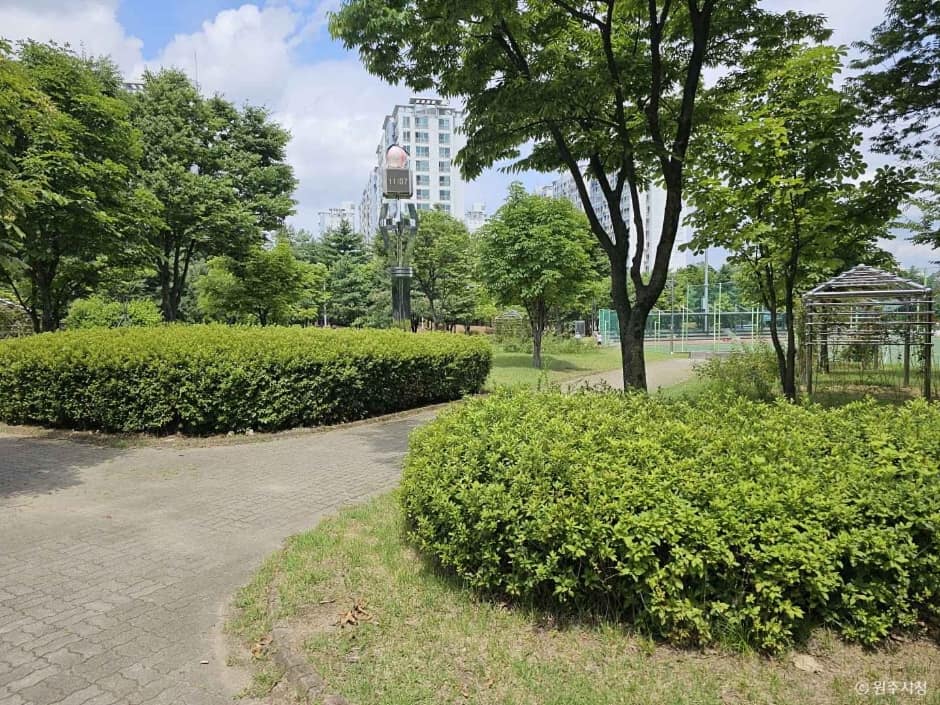 단관공원 (10)