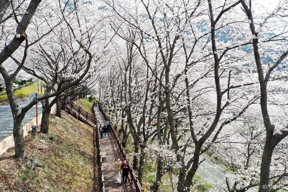 안태공원 (7)