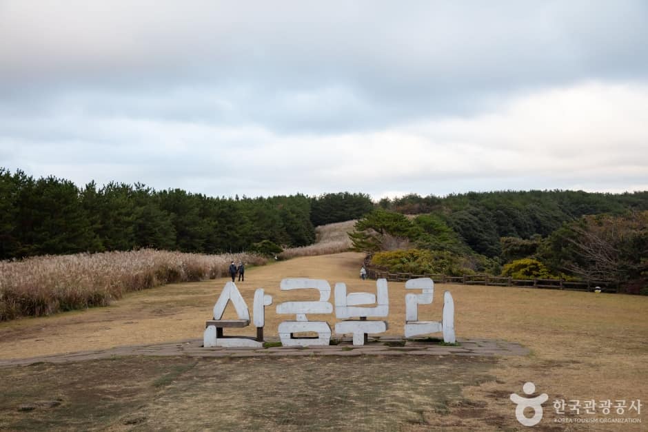 산굼부리 (5)