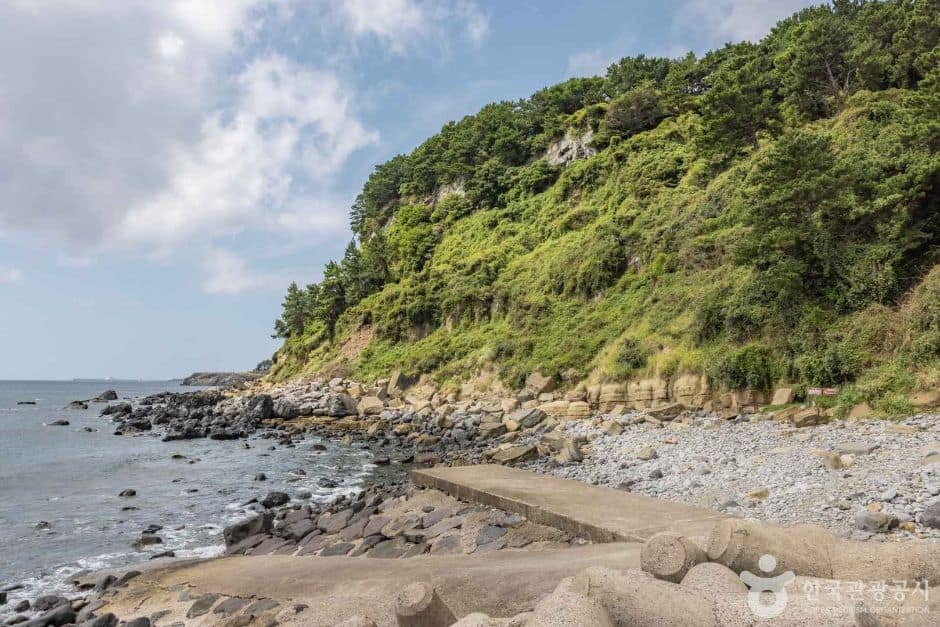 제주_서귀포시_서귀포 패류화석산지_2932006 (6)