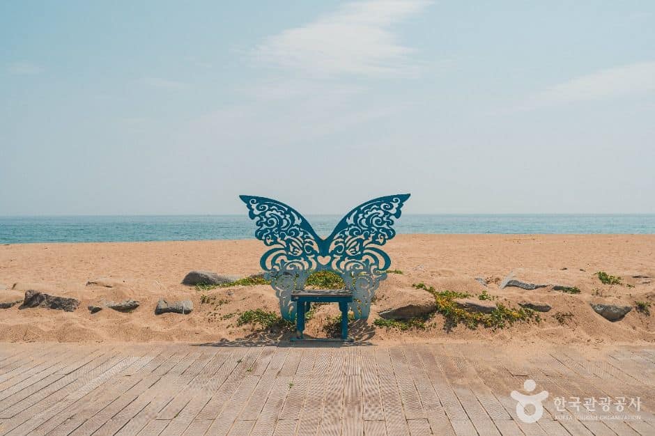 영덕_장사해수욕장 (6)