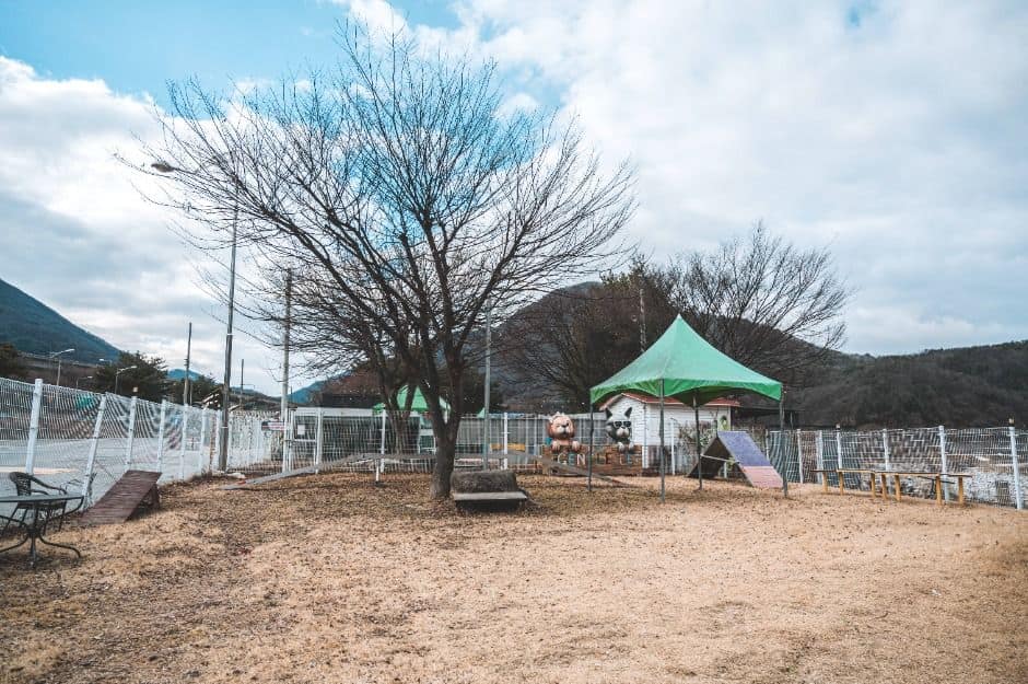 문경_문경새재 반려동물 힐링센터 (2)