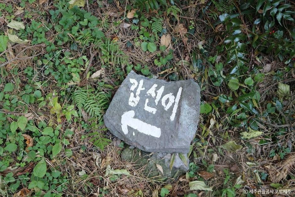 서귀포_갑선이오름 (4)