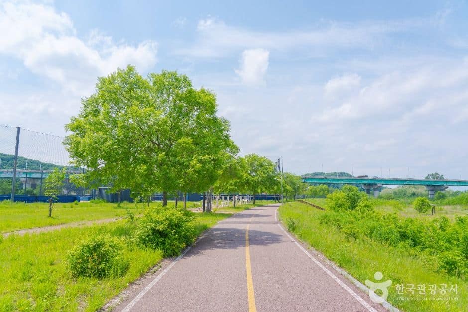 여주_양섬 (2)