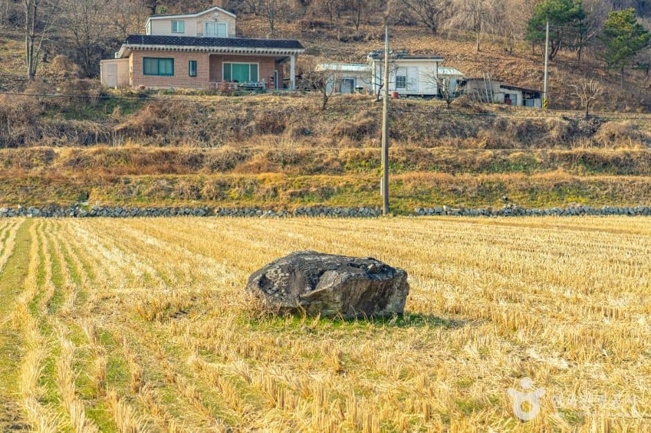 산청_산청특리지석묘군 (1)