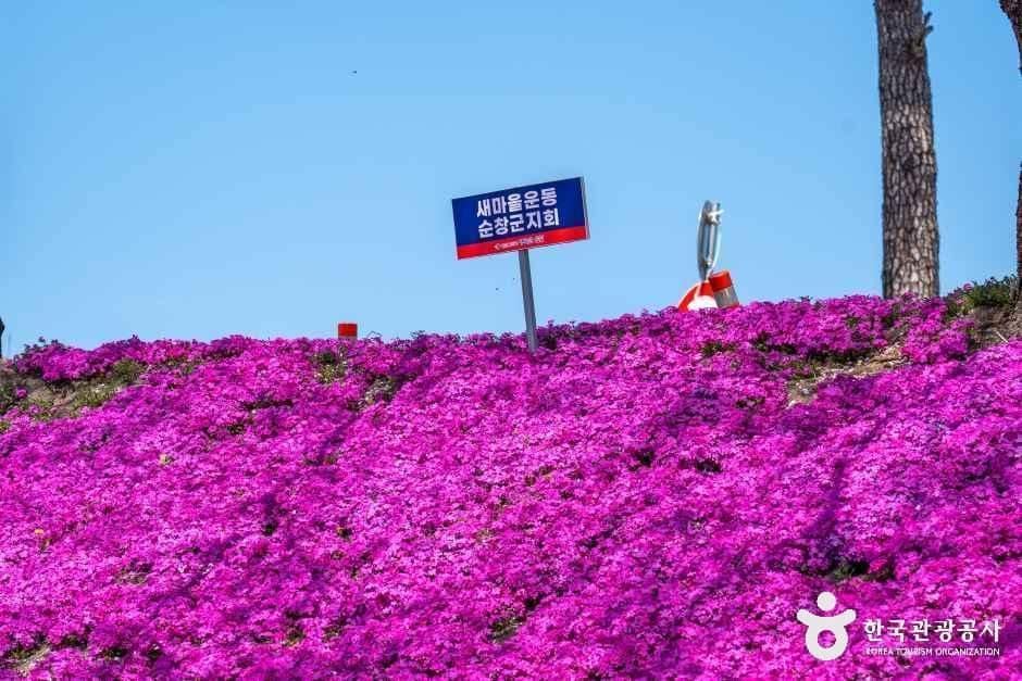전북_순창_순창 양지천 꽃잔디길_외부_05.jpg