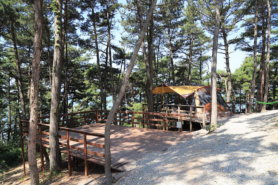 트리캠핑장_전경1
