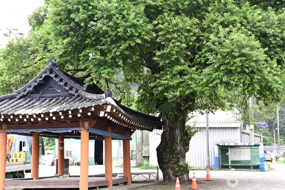 전남_영광_지내들옹기돌탑공원 (2)