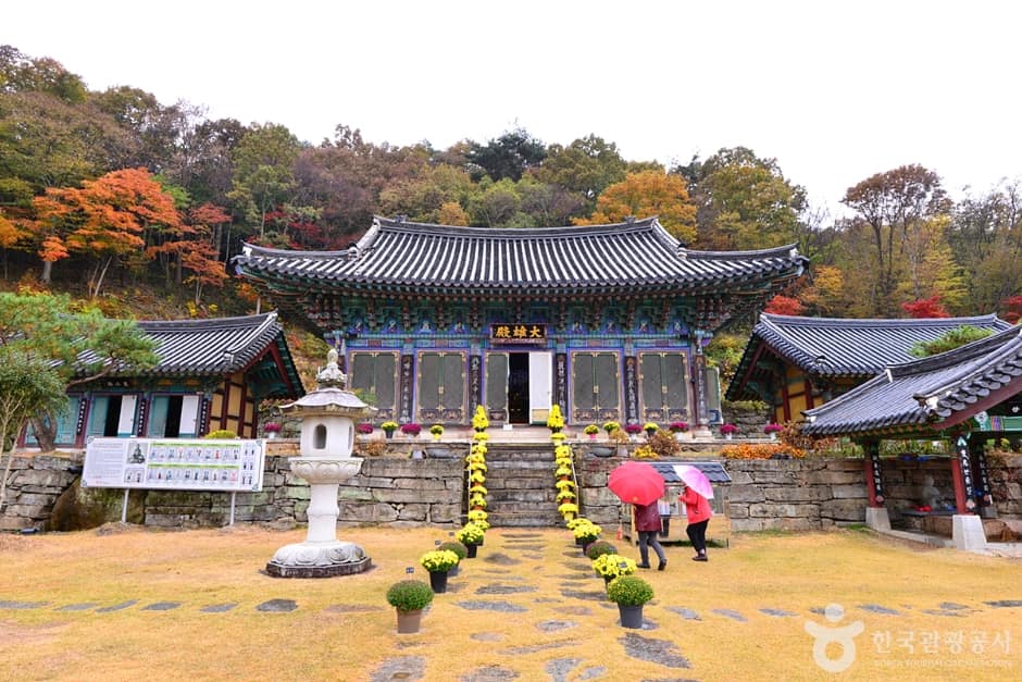 원효사 (6)