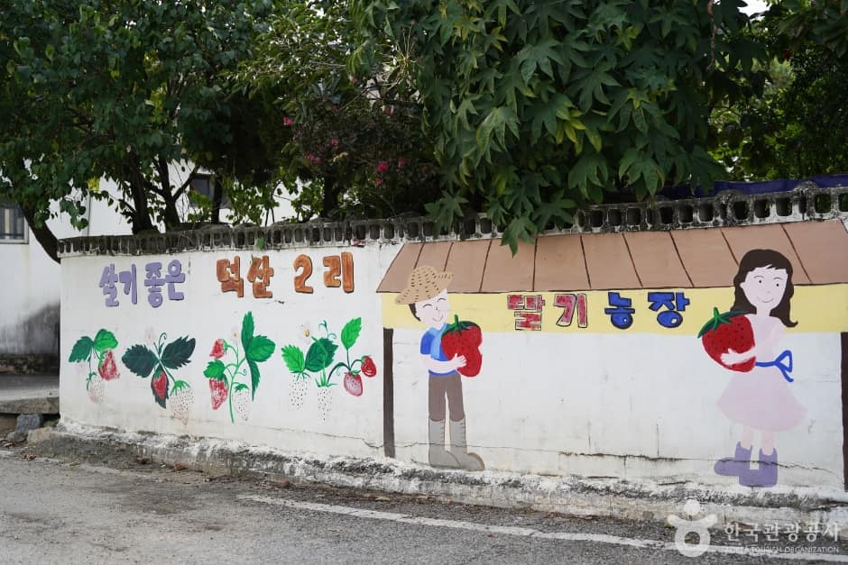 널위한딸기농장 (9)