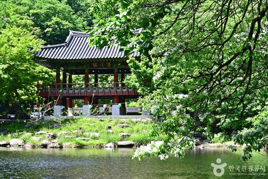 전남_장성_쌍계루 (14)