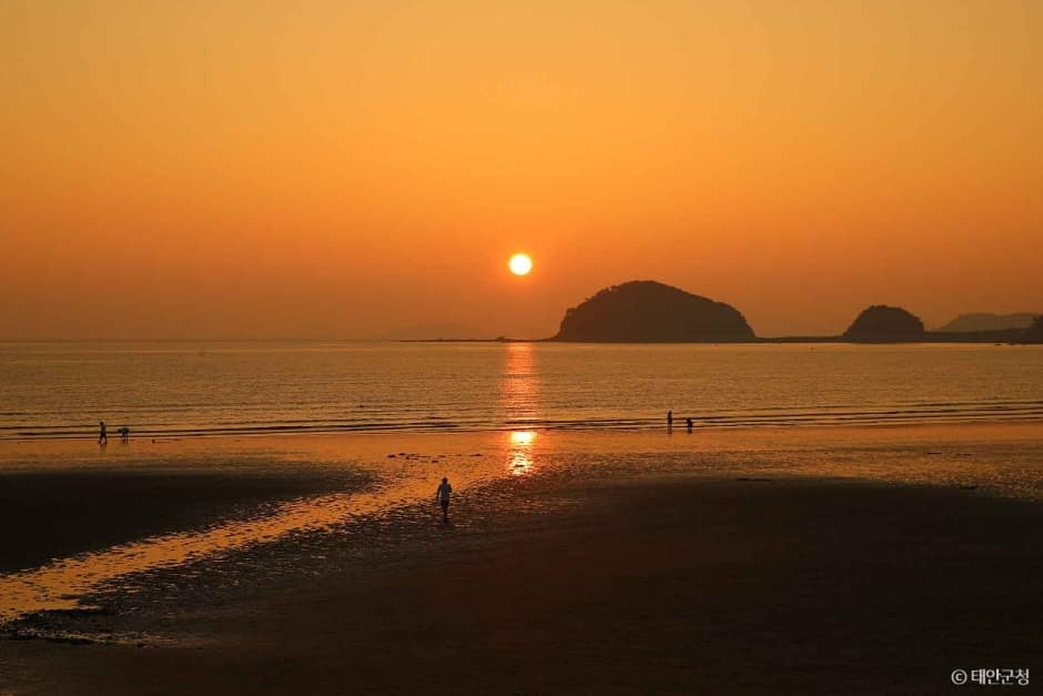 운여해변 (4)