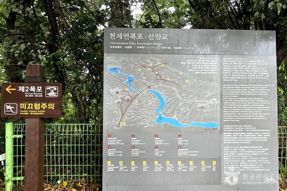 선임교_e (2)