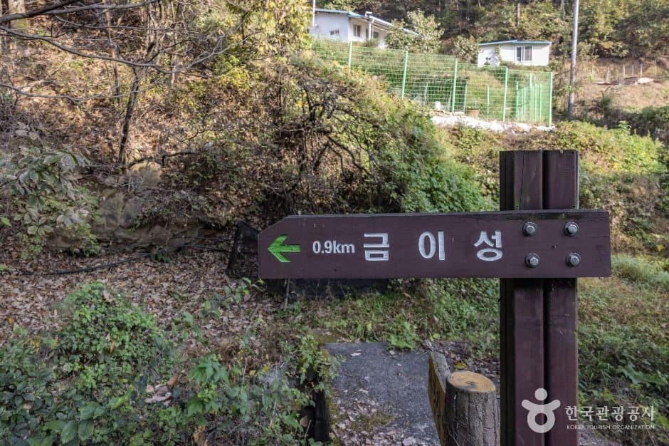 세종_금이성 (1)