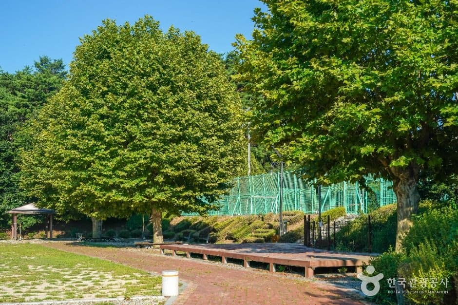 칠곡_가산산성마을 (1)