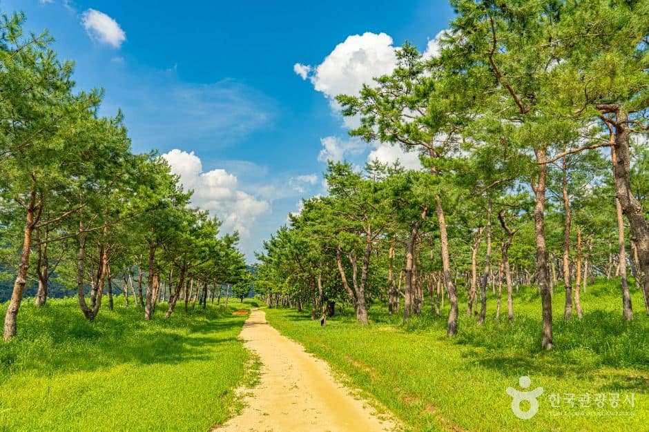 공주_고마나루 (6)