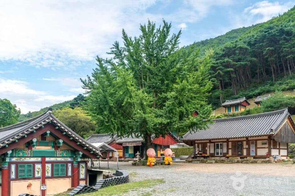 경산_경흥사(경산) (1)