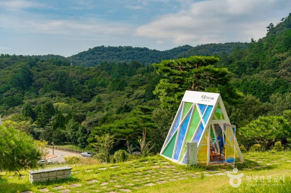 보성_한국차문화공원 (2)