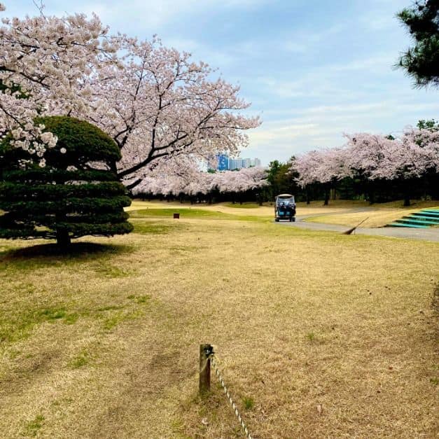 용인_태광 컨트리클럽 (1)