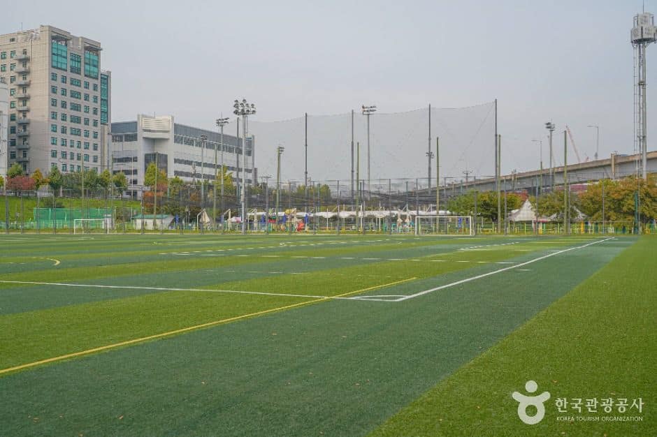 서울_살곶이체육공원 (9)